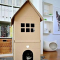 50 Extra Premium Cat House Templates